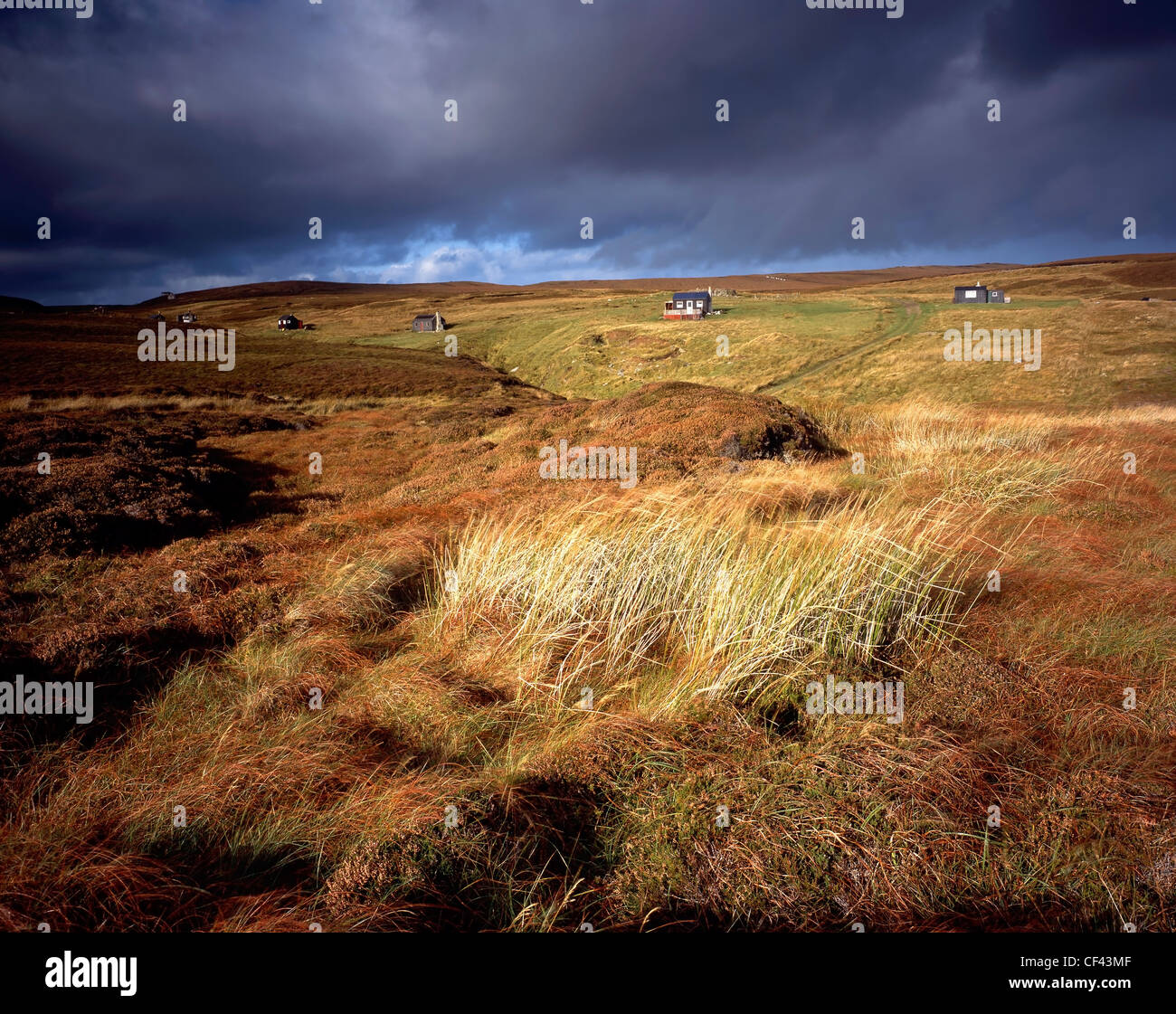 Vue sur la lande sauvage dispersés vers une rangée de Crofters à chalets sur l'île de Lewis. Banque D'Images