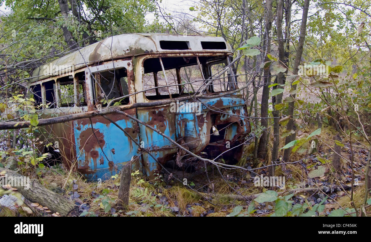 Vieux bus rouillés dans la forêt close up Banque D'Images