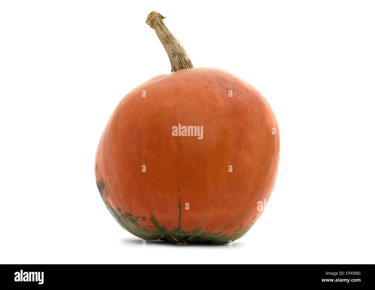 Pumpkin est isolé sur fond blanc Banque D'Images