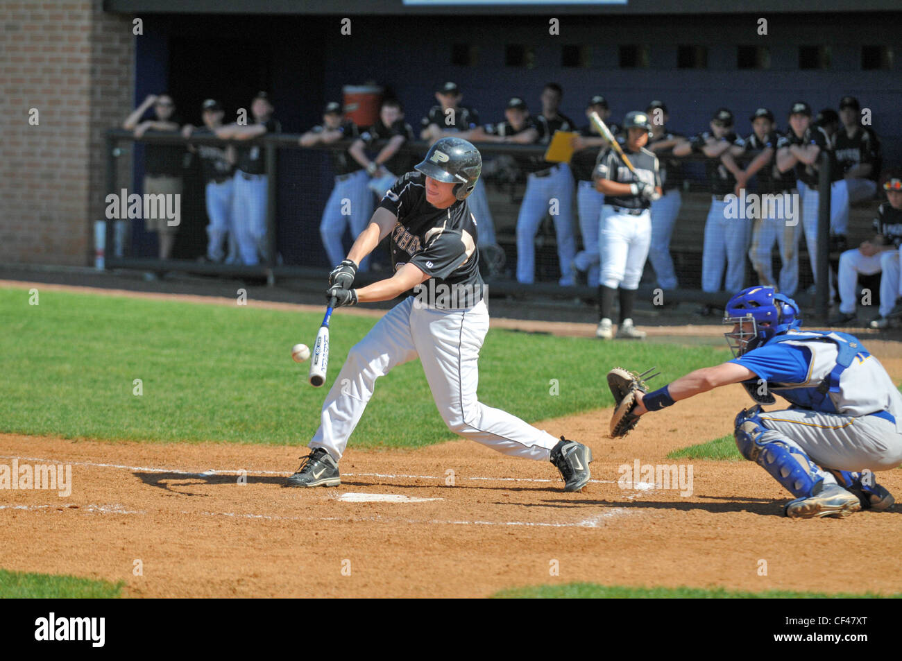 Le flex dans une chauve-souris est clairement évident juste avant de contacter par la pâte pendant un match de baseball. USA. Banque D'Images