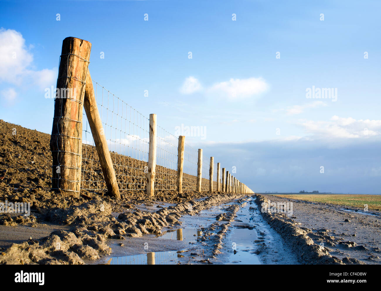 Nouvelle clôture et poteaux de clôture sur la digue élevée dans Ellewoutsdkijk, Pays-Bas, par un beau jour d'hiver Banque D'Images