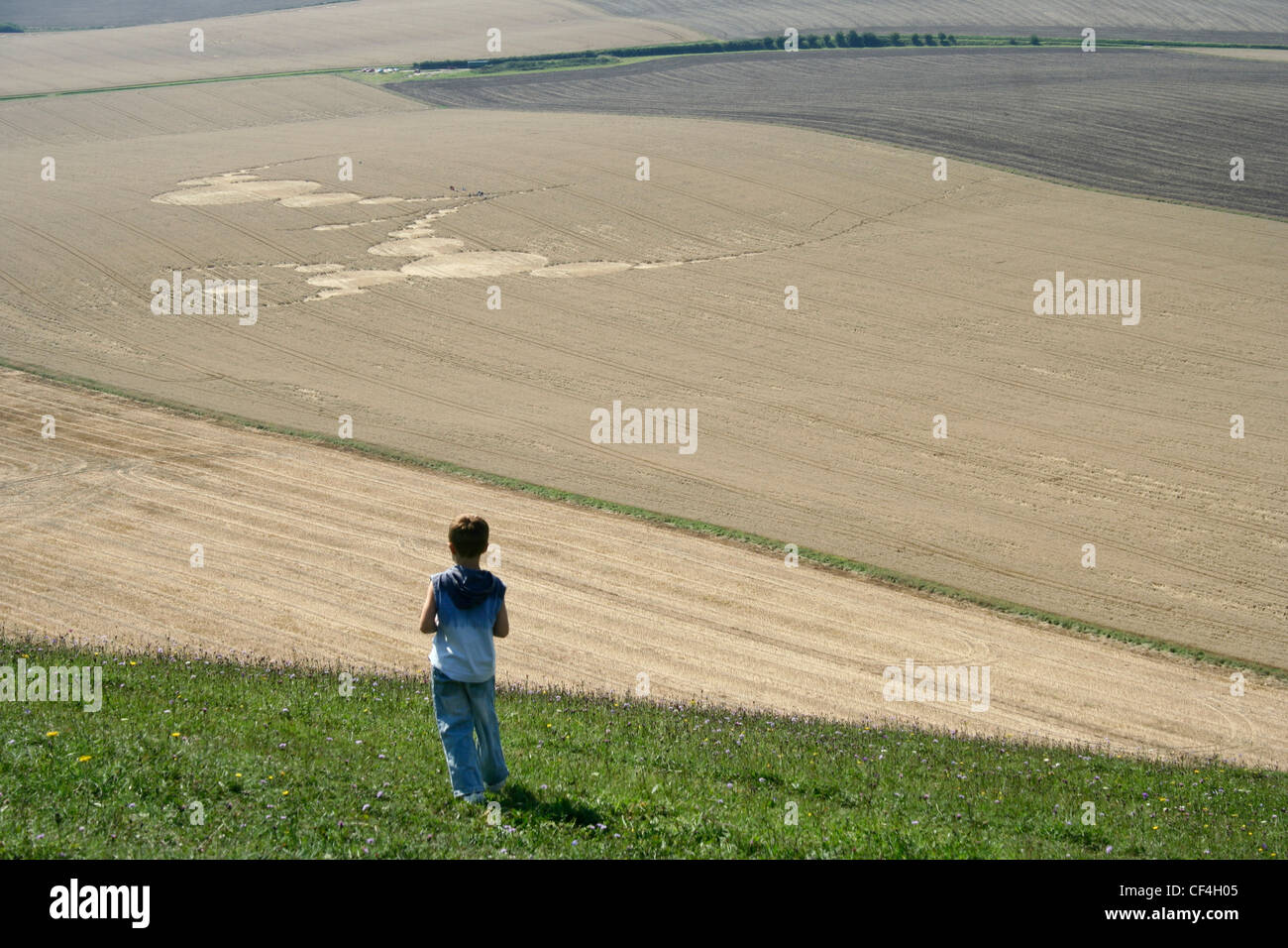 Un petit garçon regarde un agroglyphe formé dans un champ à Knapp Hill. Banque D'Images