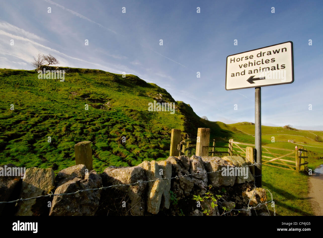 Un cheval véhicules tirés en regard d'un mur de pierre dans le Peak District campagne. Banque D'Images