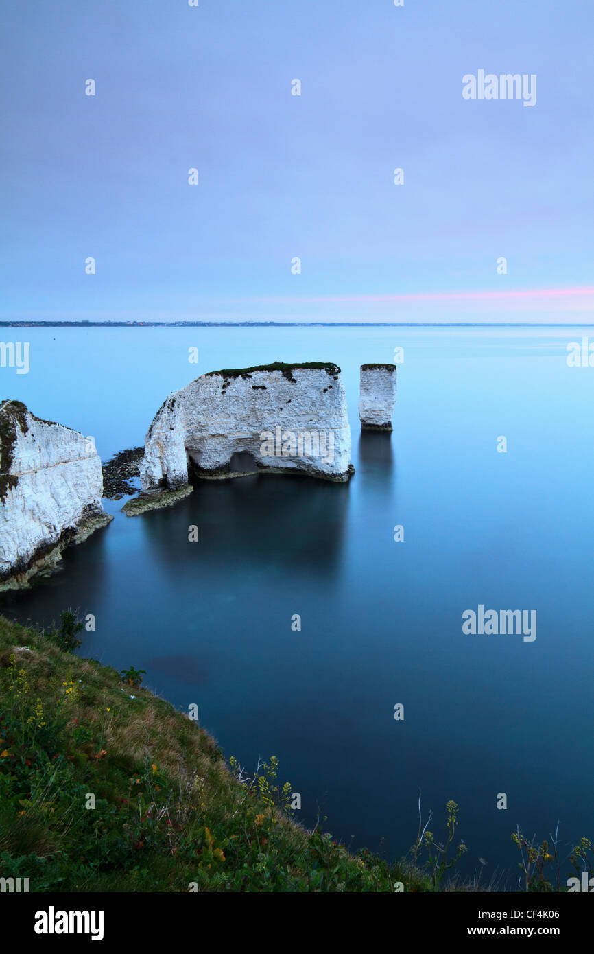 Old Harry Rocks, deux piles de la mer de craie située à Handfast Point, sur l'île de Purbeck au lever du soleil. Banque D'Images