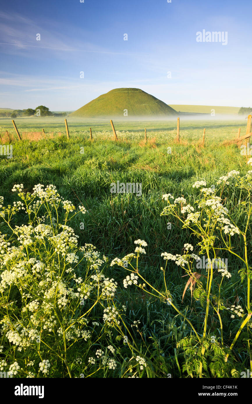 Silbury Hill, un monticule artificiel de la craie, le plus haut par l'homme préhistorique mound en Europe, sur un matin d'été à Sea Cow Banque D'Images