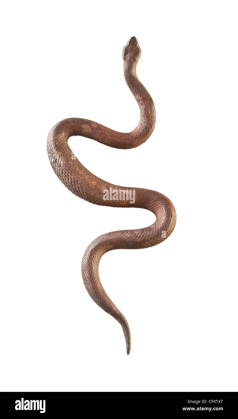 Serpent en cuivre isolé sur fond blanc Banque D'Images