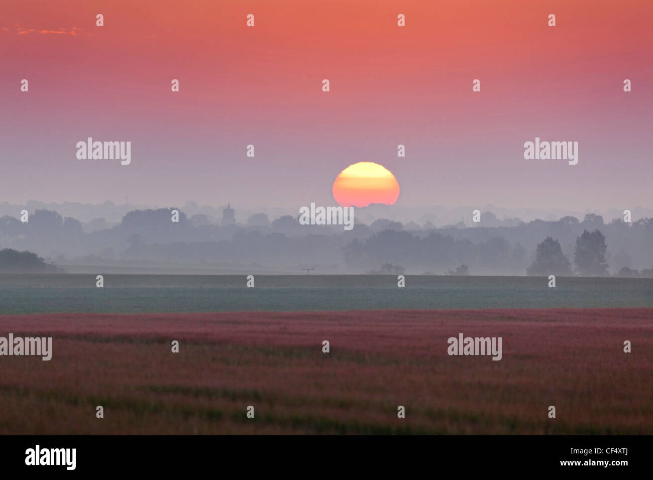 Le lever du soleil sur la campagne du Suffolk, près de Ixworth, UK Banque D'Images