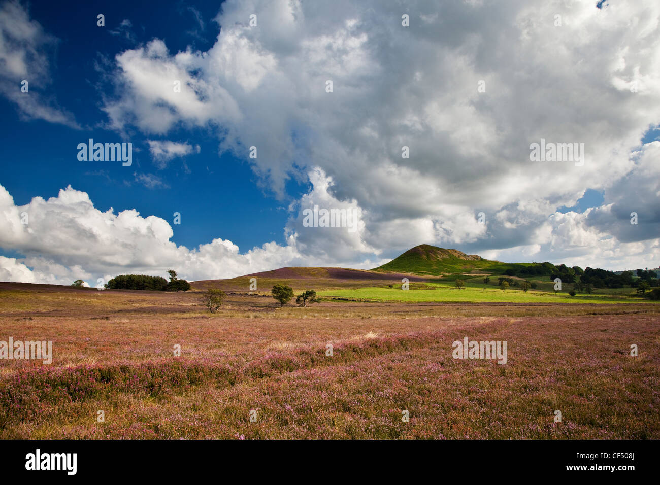 Landes et Hawnby Hill dans le North York Moors National Park. Banque D'Images