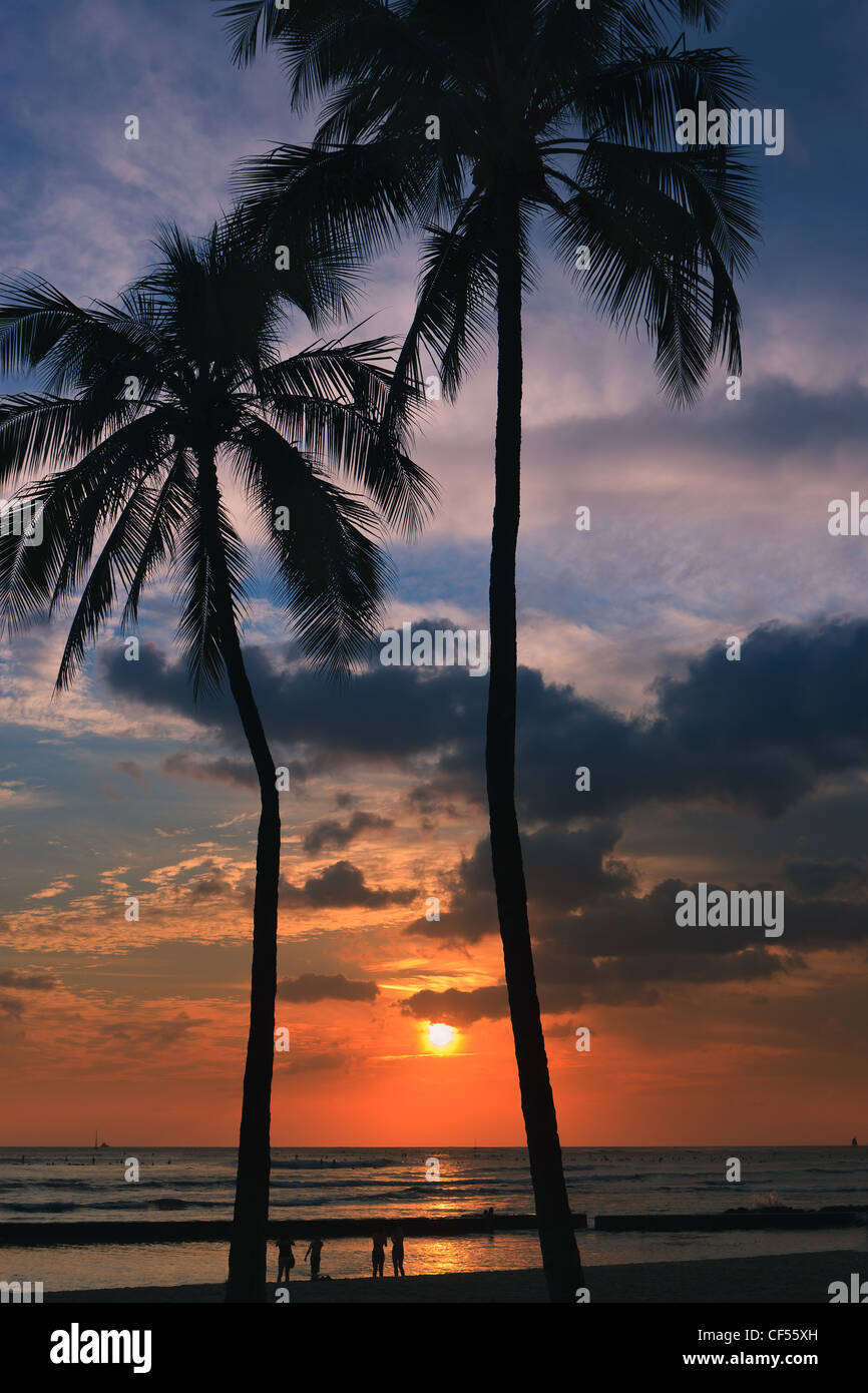 Coucher de Soleil Plage de Waikiki, Honolulu, Hawaii Banque D'Images