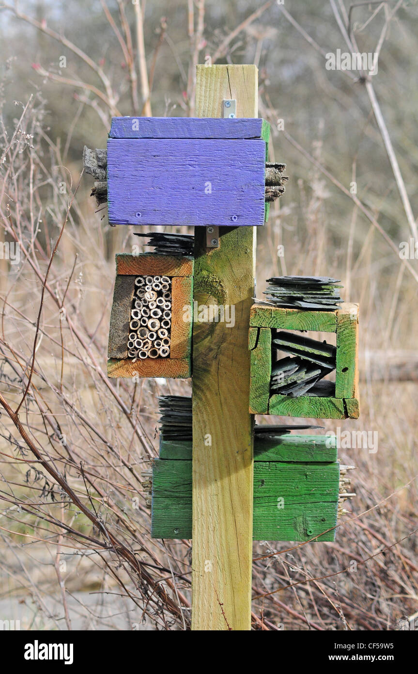 Les maisons construites sur le Wildfowl and Wetlands Trust, Arundel. Banque D'Images