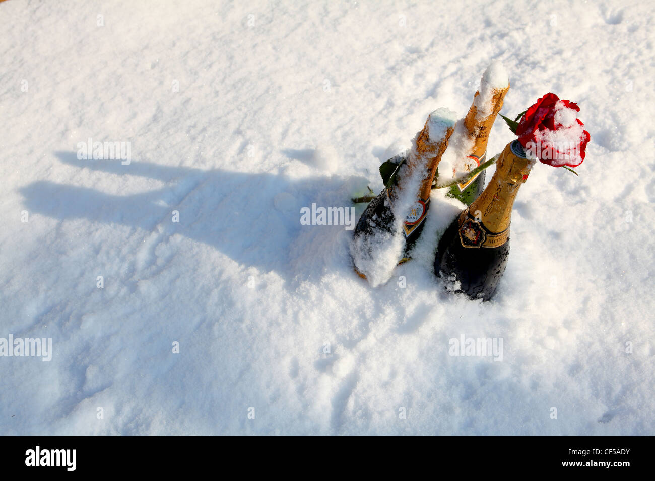 Trois bouteilles de champagne et une rose rouge debout dans la neige Banque D'Images Trois bouteilles de champagne et une rose rouge debout dans la neige Banque D'Images