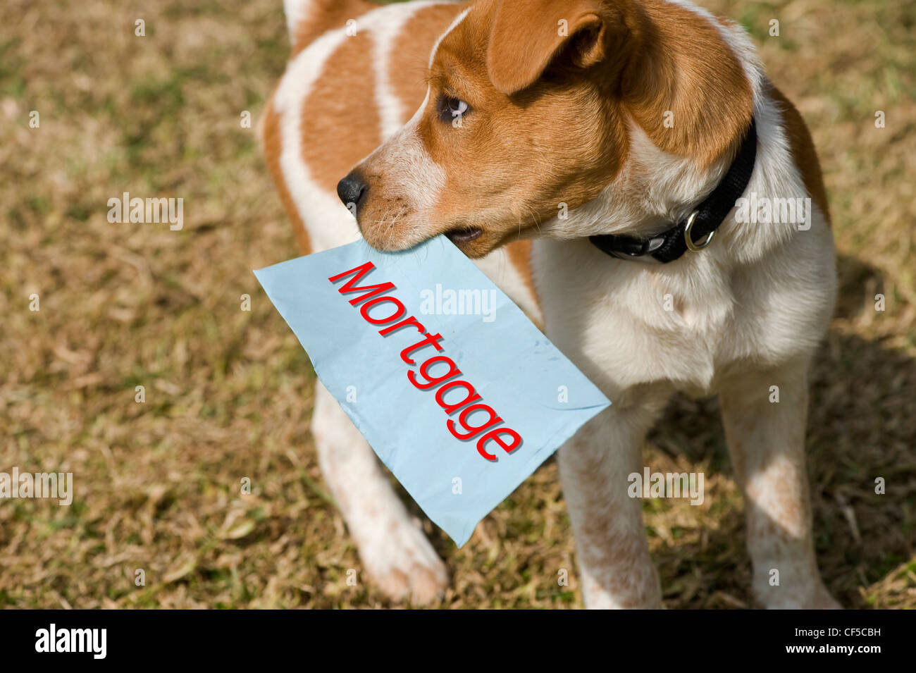 Payer votre prêt hypothécaire. Banque D'Images