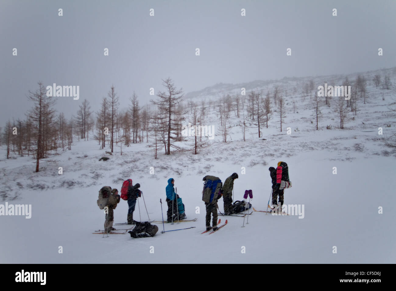 Équipe de touristes avec ski dans les montagnes de l'Alatau Kouznetski ridge. L'hiver. La Sibérie. République Khakass. La région de Kemerovo. La Russie. Banque D'Images