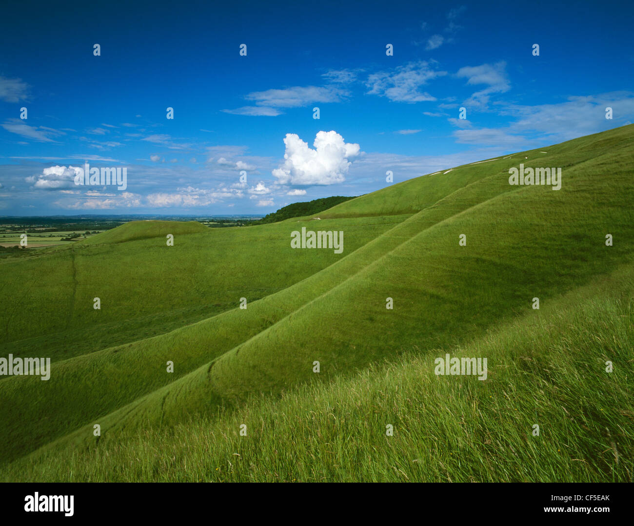 En regardant la crèche ou de la fosse située sous la figure de craie sculptés sur le flanc de colline avec le cheval blanc à sommet plat mound Banque D'Images