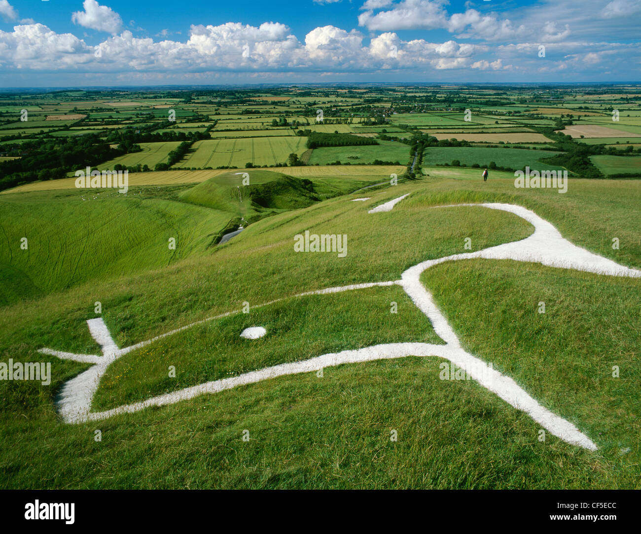 La tête et des yeux du personnage sculpté à la craie sur le flanc de colline au-dessus du Cheval Blanc à sommet plat amas où St George est dit Banque D'Images