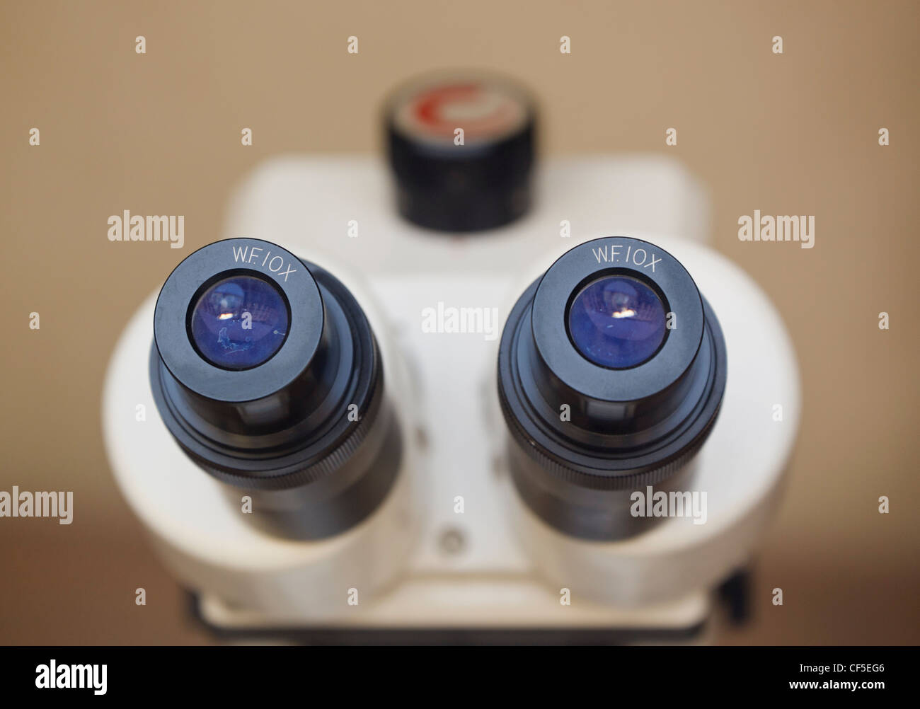 Oculaires de microscope. Banque D'Images