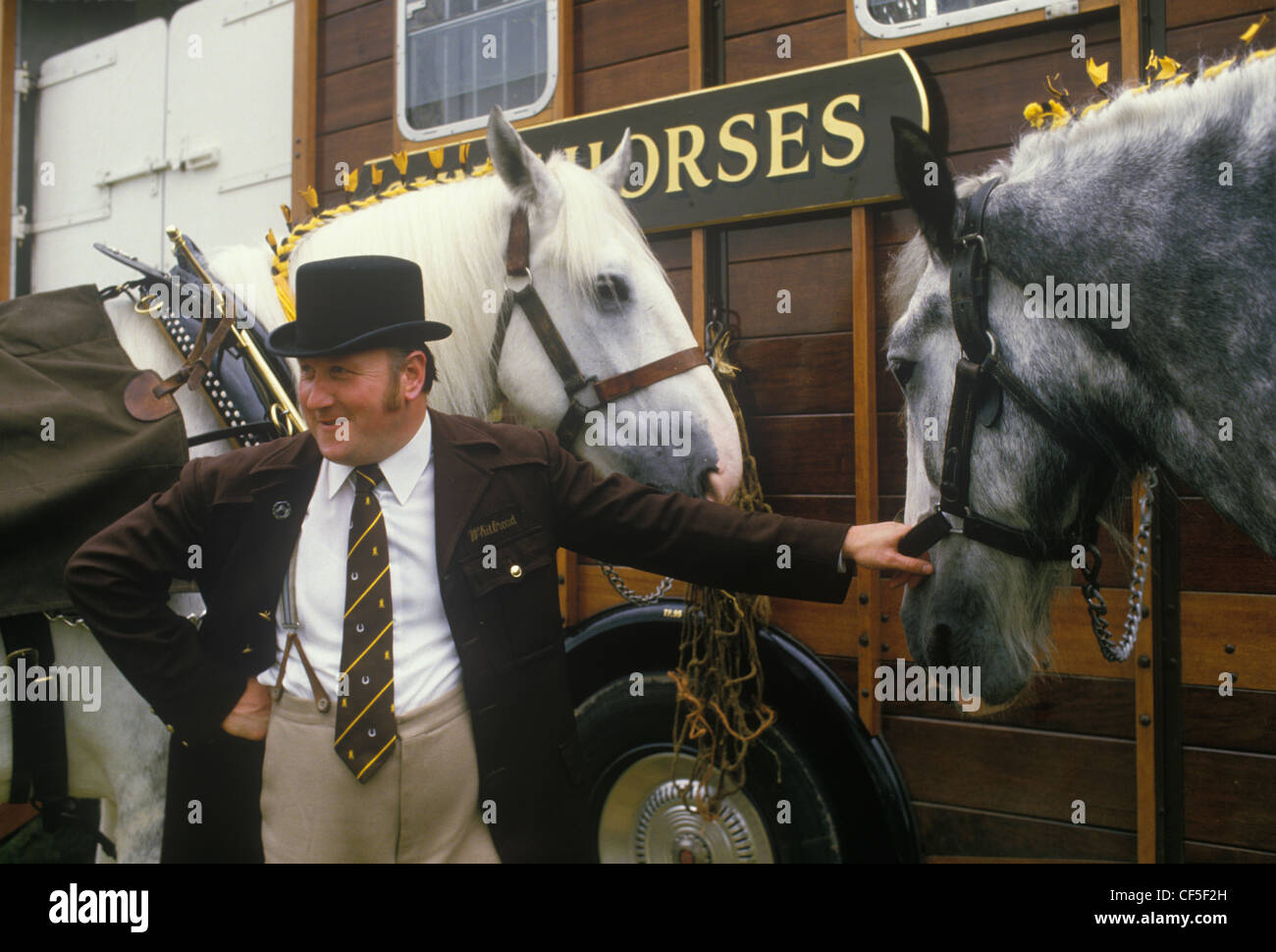 Heavy Horse Show. Brasserie Whitbread Dray horse driver. London UK. HOMER SYKES Banque D'Images