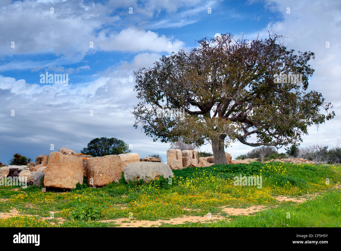 Ruines archéologiques à Beit Guvrin, parc national d'Israël. Banque D'Images