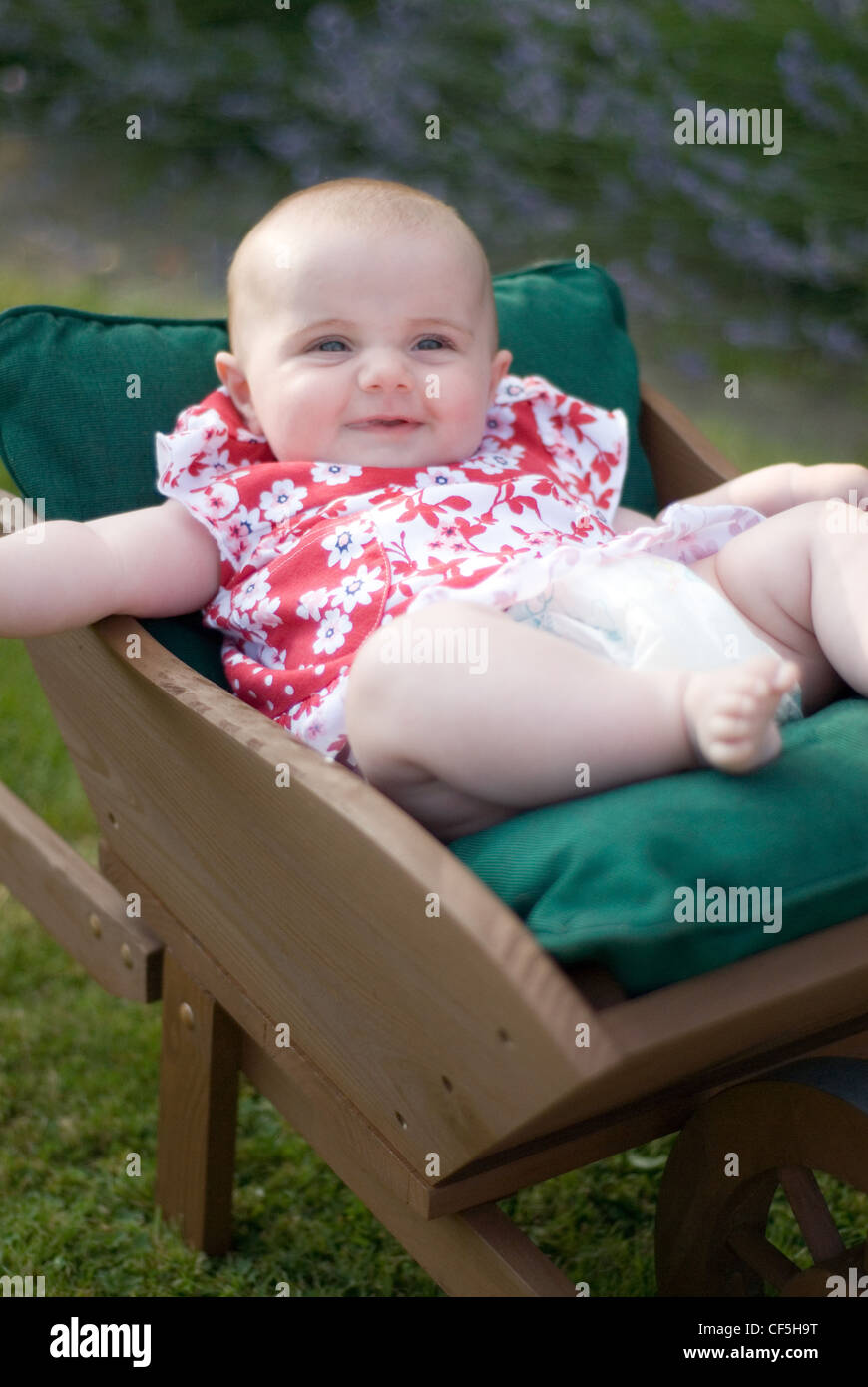Un bébé de sexe féminin habillée d'une robe sans manches rouge fleurs blanches, assis dans une brouette en bois miniature vert rempli Banque D'Images