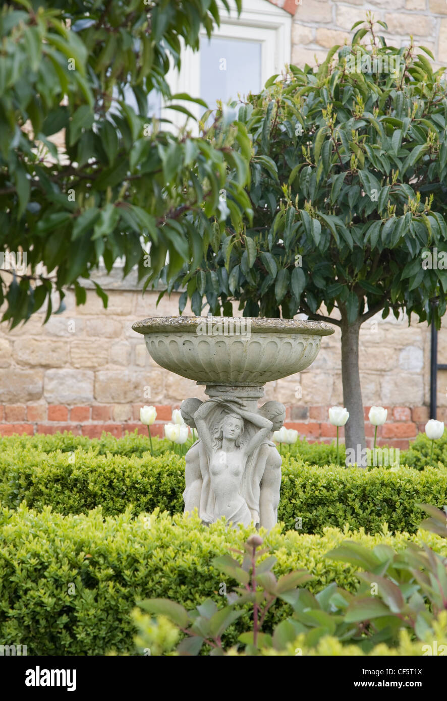 Les Douves Jardin bain d'oiseaux situé sous modèle Prunus lusitanicus entouré de couverture formelle fort Banque D'Images