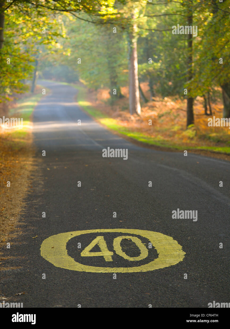 La limite de vitesse de 40 mi/h inscription peinte sur une route dans le parc national New Forest. Banque D'Images