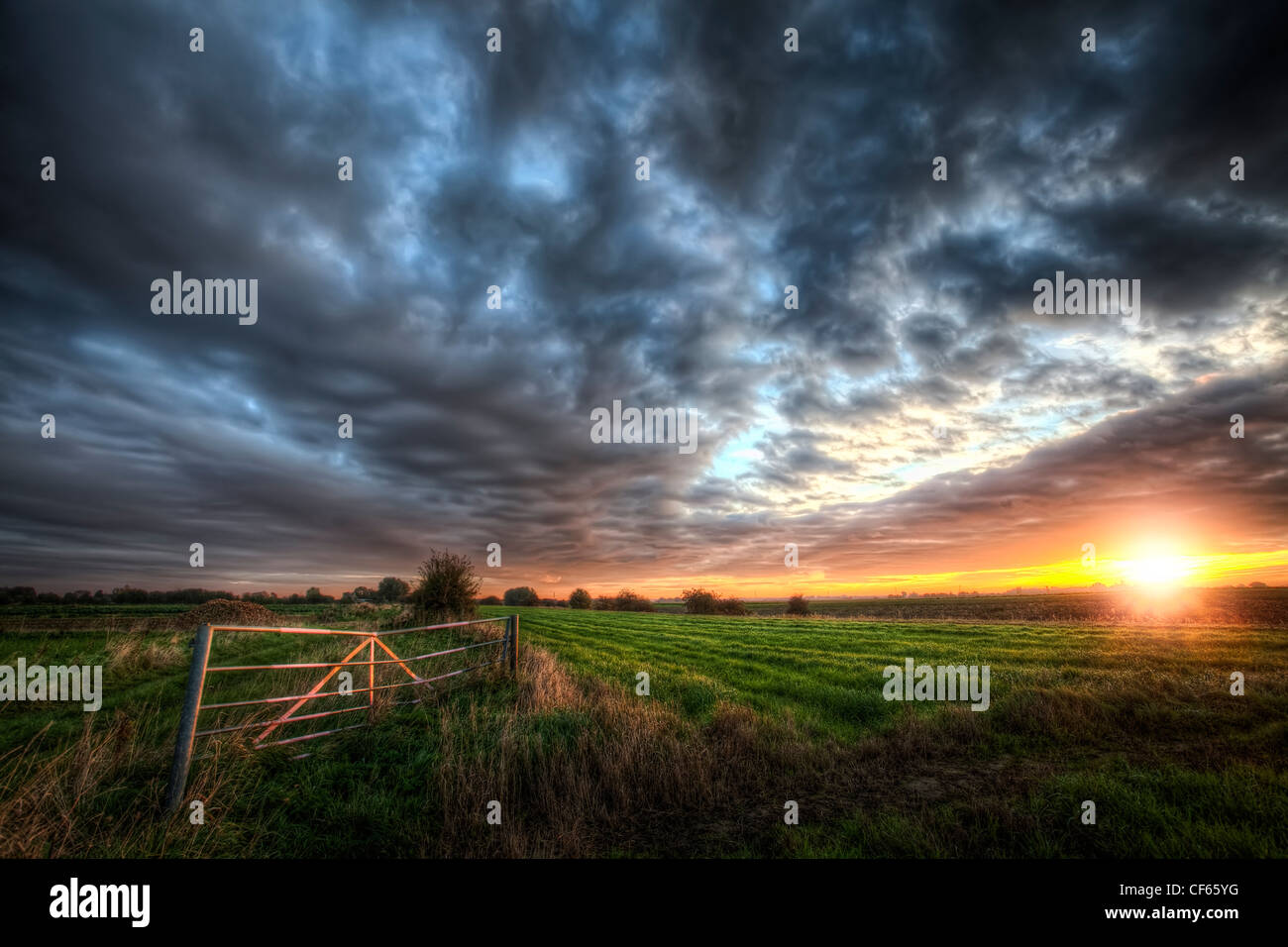 Lever de soleil sur un champ dans le Cambridgeshire Fens. Banque D'Images