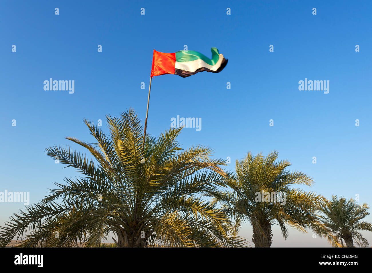 DUBAI Desert Palms drapeau oase oasis soleil d'après-midi au coucher du soleil la lumière rouge des sables bitumineux Horizon sable rouge ciel bleu soirée romantique au calme Banque D'Images