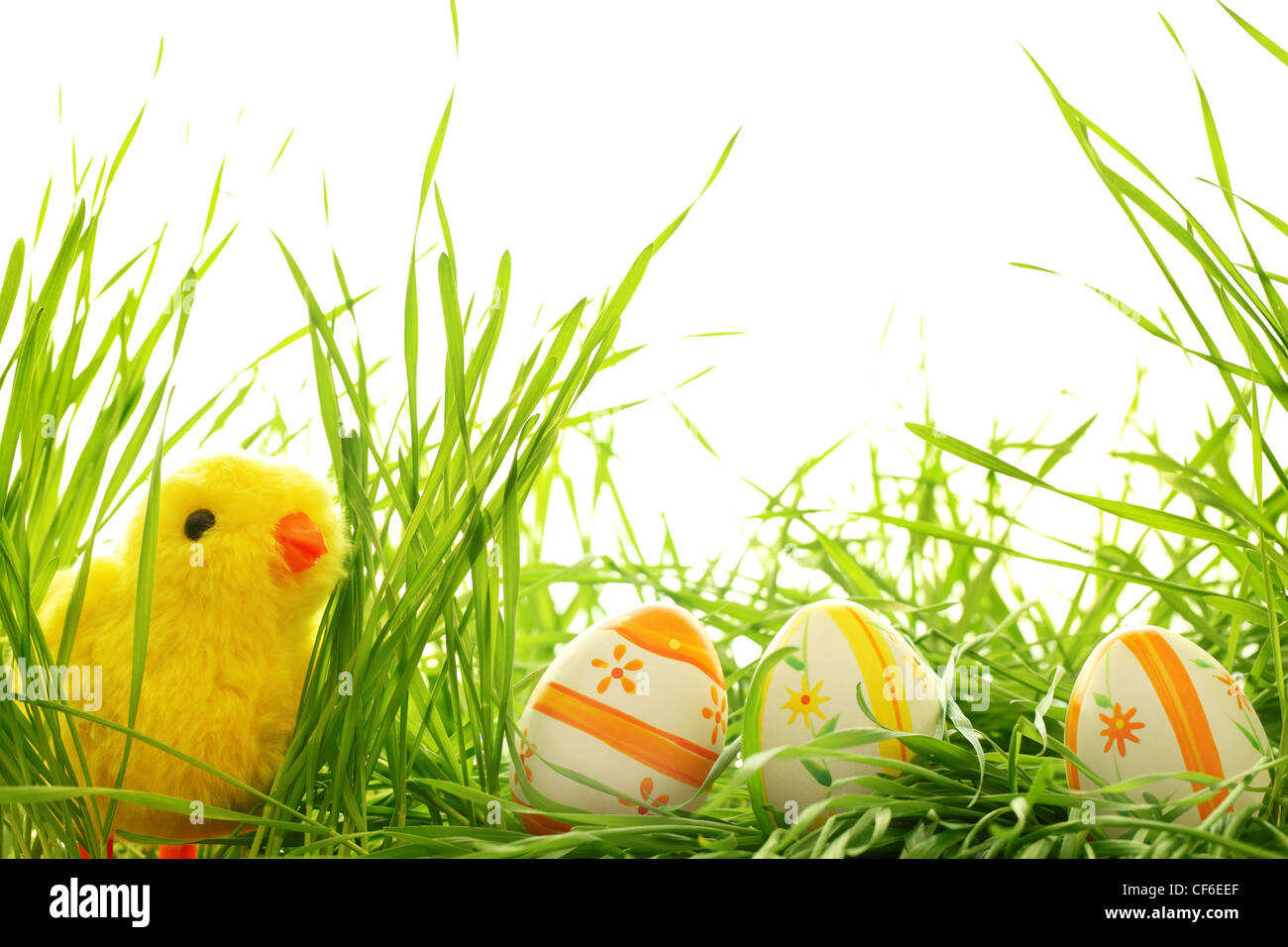 Décoration de Pâques avec des œufs et des poussins sur l'herbe verte fraîche Banque D'Images