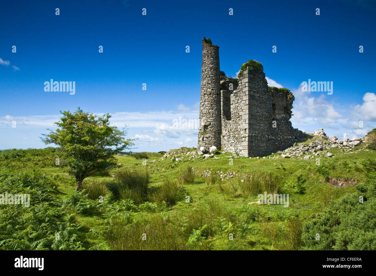 Moteur de Phoenix maison en ruine sur la Colline Caradon mine près de Minions sur Bodmin Moor. Banque D'Images