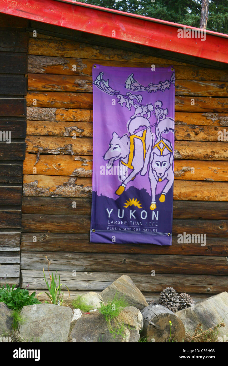 Drapeau du Yukon violet avec le loup commun et soleil de minuit Banque D'Images