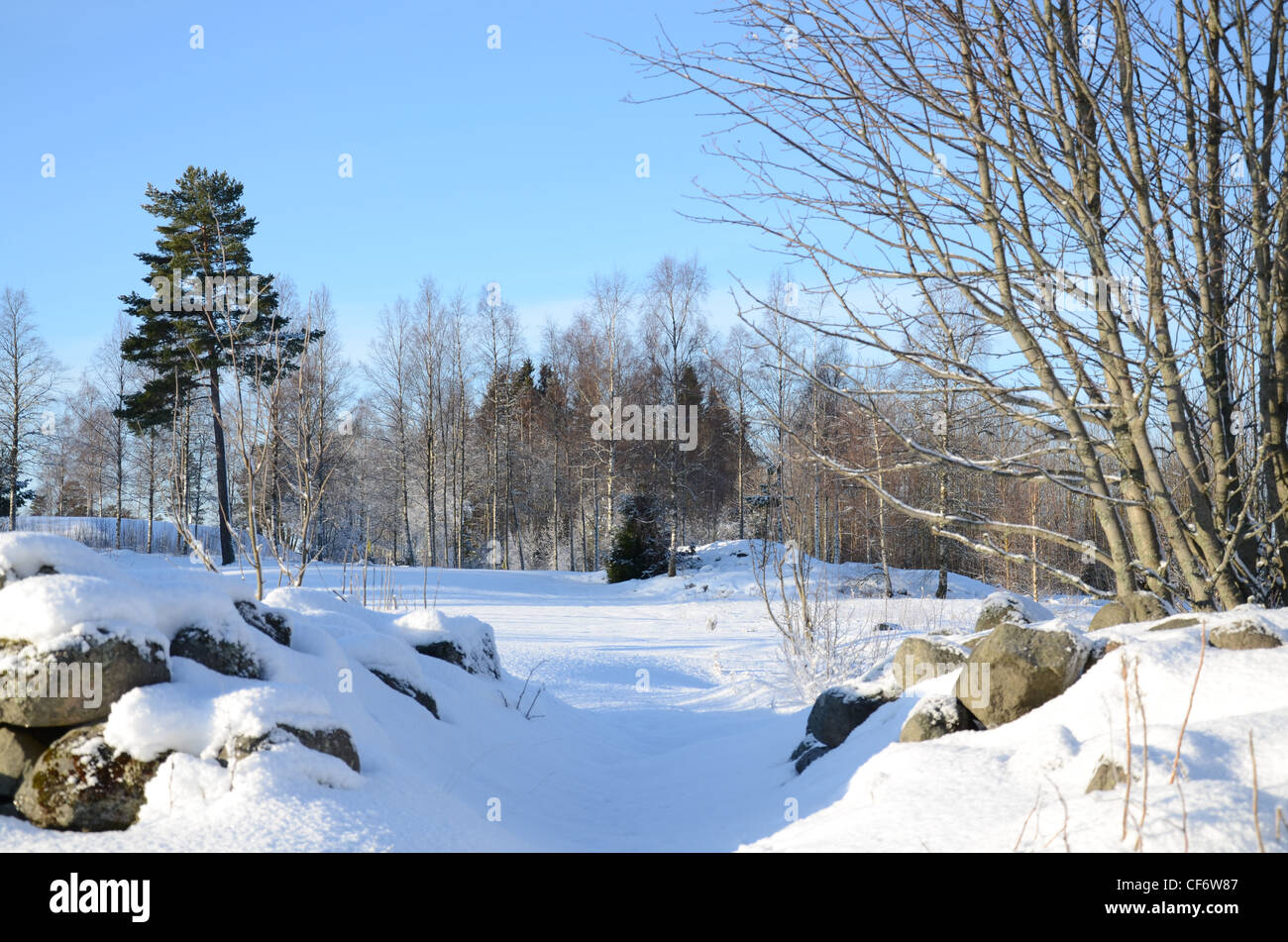 Paysage d'hiver avec pierre et arbres Banque D'Images