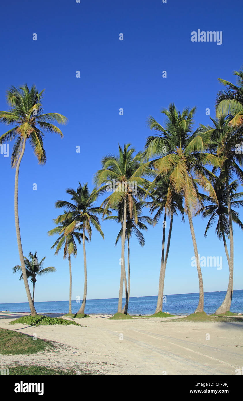 Plage de Cap Cana Banque D'Images