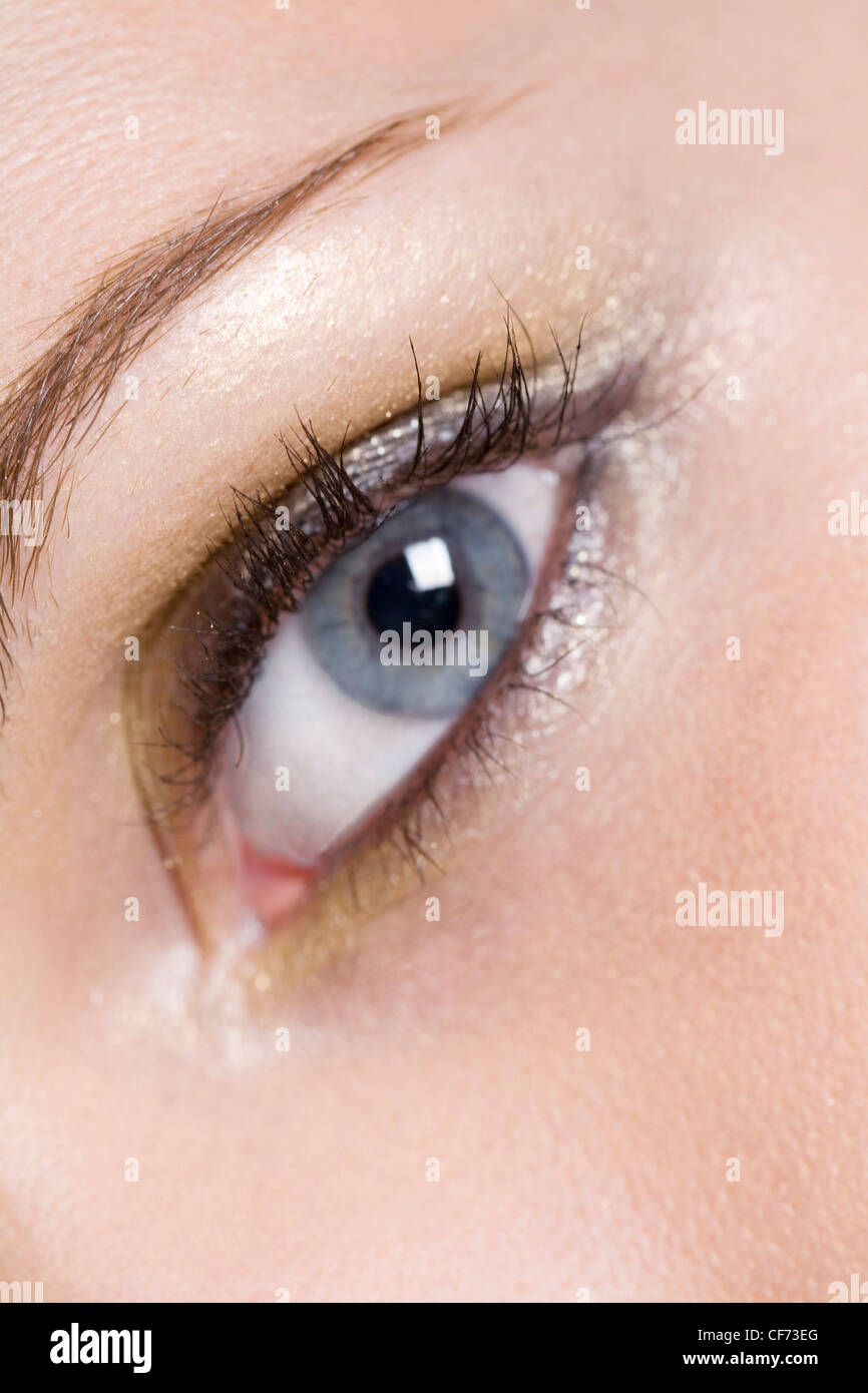 Avec des femmes de l'ombre à paupières or métallique au-dessus et au-dessous de l'œil, avec des touches de gris foncé, noir et mascara sourcils pincées Banque D'Images