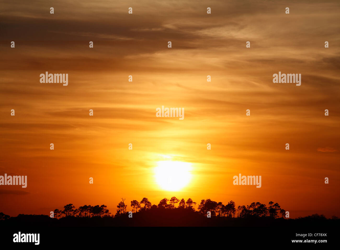 Le soleil se couche derrière un hamac dans le parc national des Everglades en Floride Banque D'Images