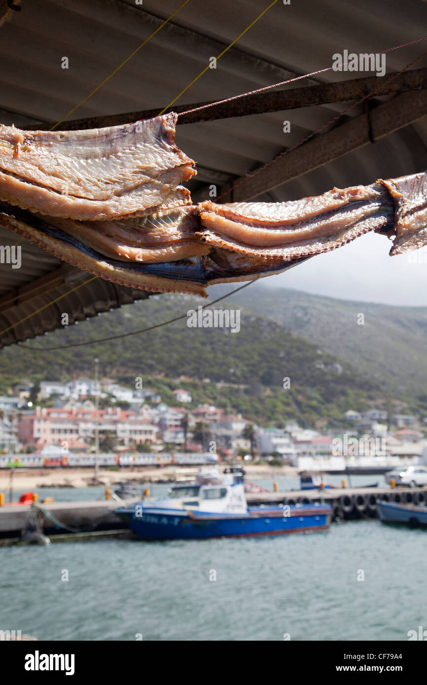 Cape Snoek en train de sécher dehors à Kalk Bay Banque D'Images