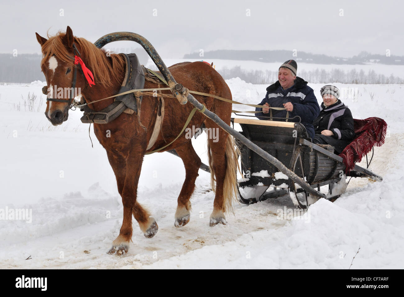 Monter un cheval transport Banque D'Images