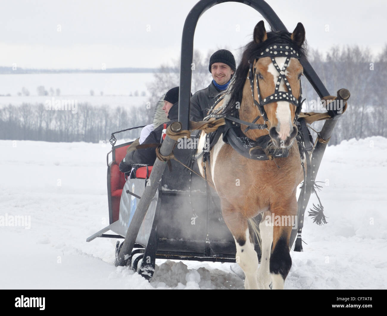Monter un cheval transport Banque D'Images