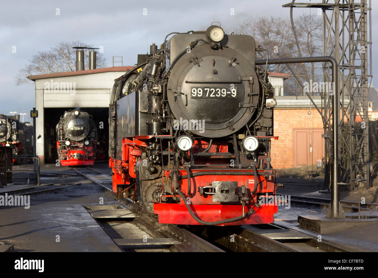 Une locomotive à vapeur à l'extérieur de l'abri du moteur sur le chemin de fer de montagne à Wernigerode Harz Banque D'Images