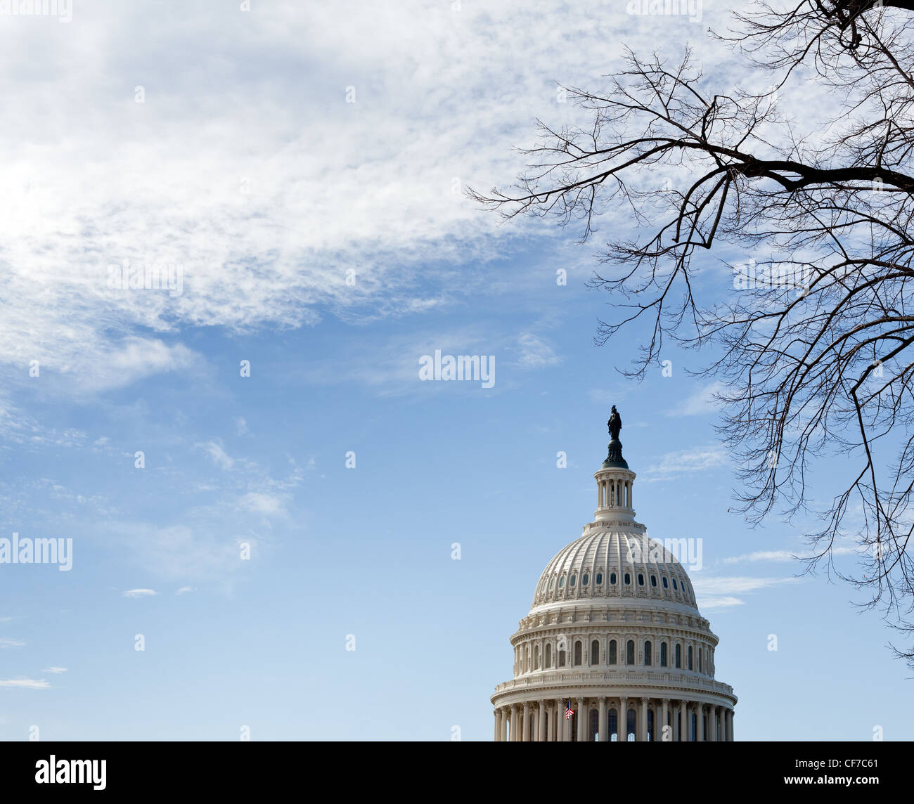 Dôme du bâtiment du Capitole des États-Unis à Washington DC avec branches d'hiver et ciel bleu et nuages Banque D'Images