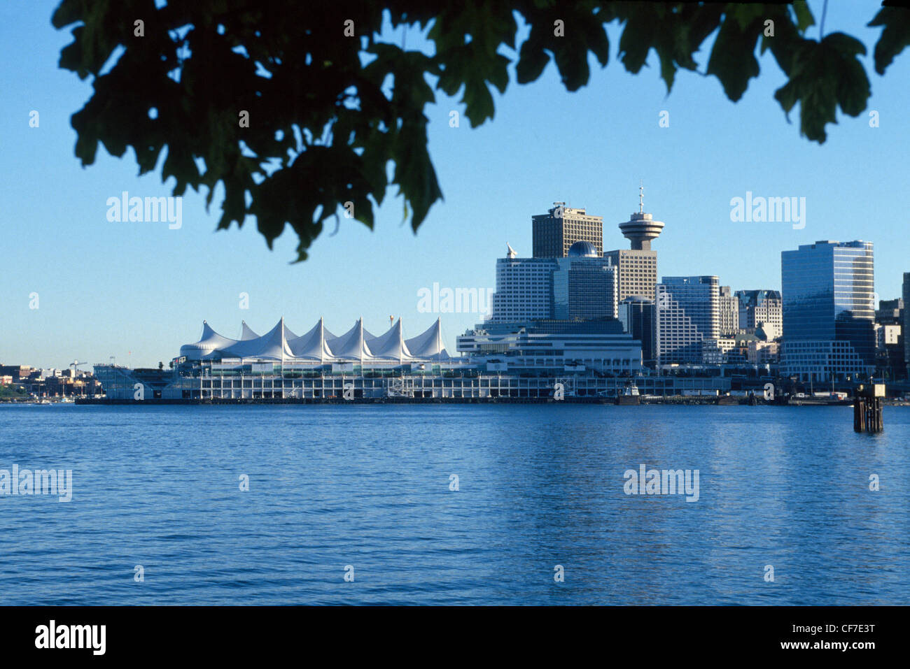 Vue du parc Stanley dans le port de Vancouver au centre-ville et la voile croisière parées de pier en Colombie-Britannique, Canada. Banque D'Images