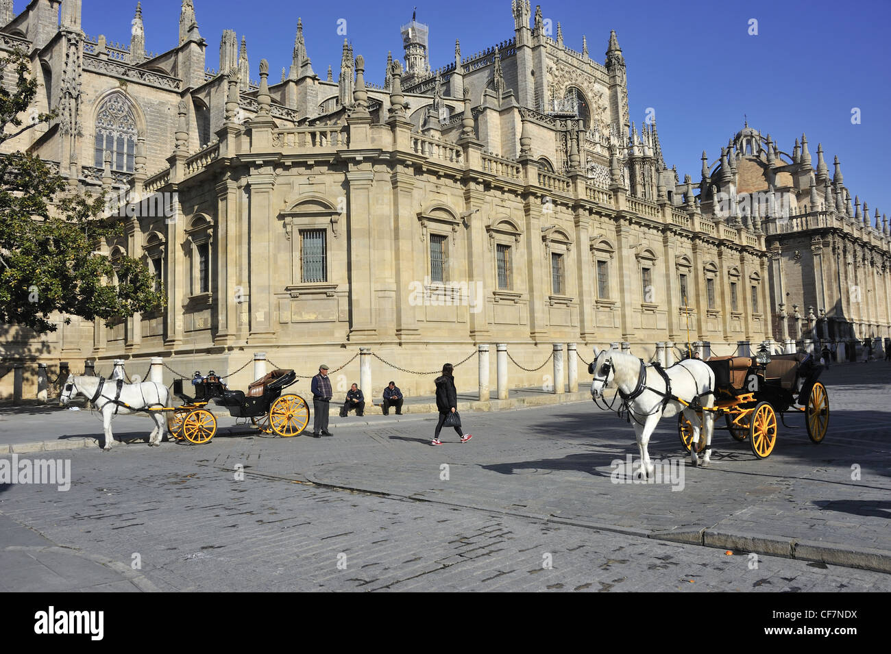 Calèches en face de la Cathédrale de Séville, Espagne Banque D'Images