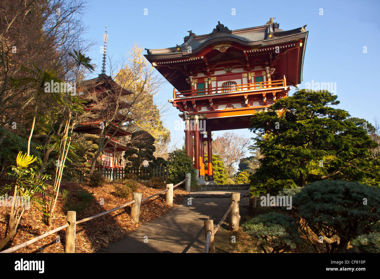 Les jardins japonais dans le golden gate Park, San Francisco, Californie, USA. Banque D'Images