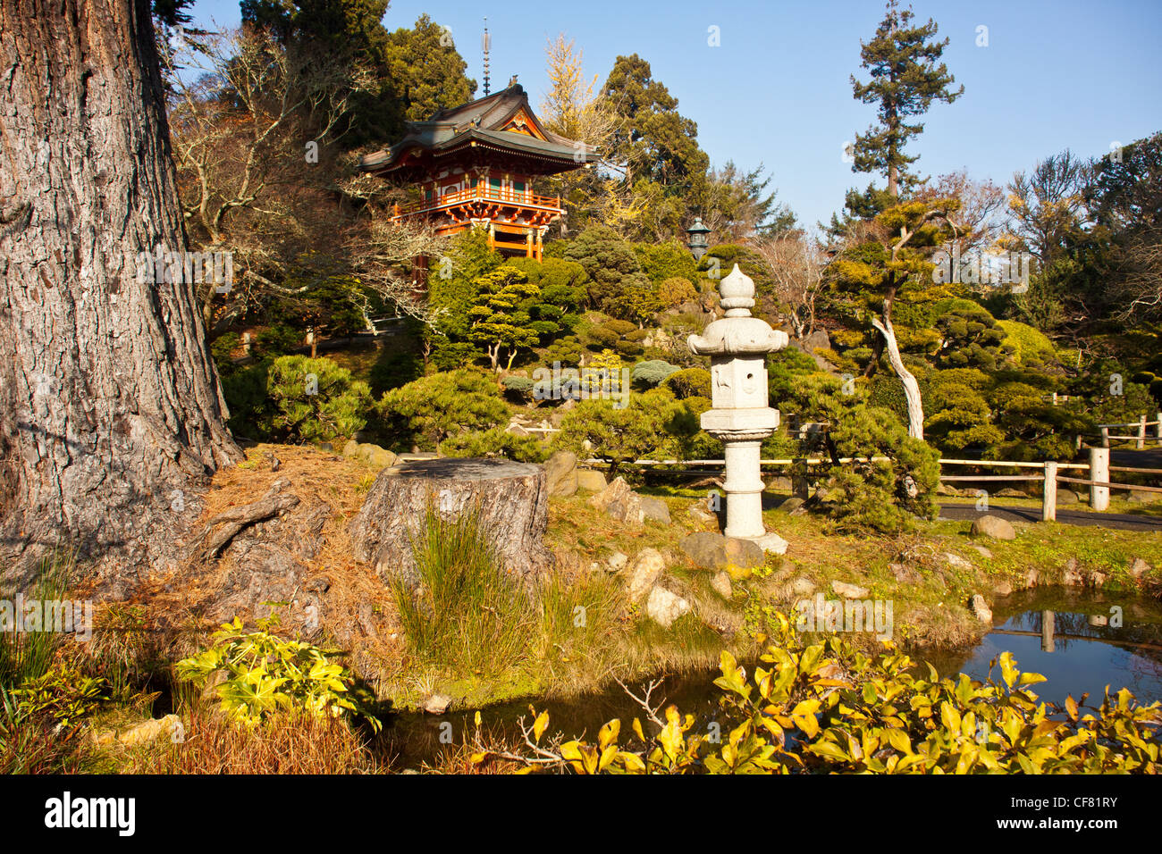 Les jardins japonais dans le golden gate Park, San Francisco, Californie, USA. Banque D'Images