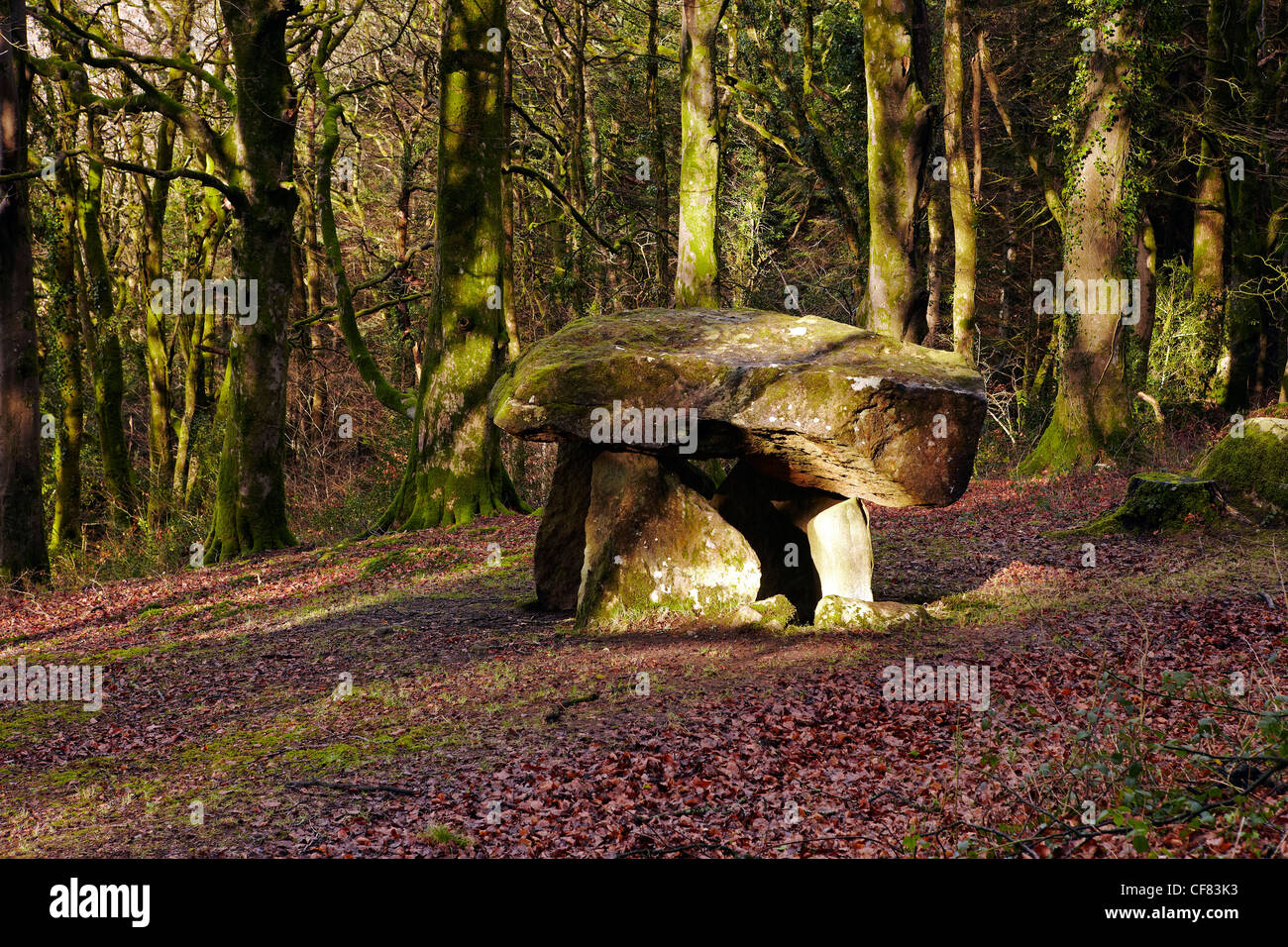 Filiast Gwal y sépulture néolithique, Carmarthenshire, West Wales, UK Banque D'Images