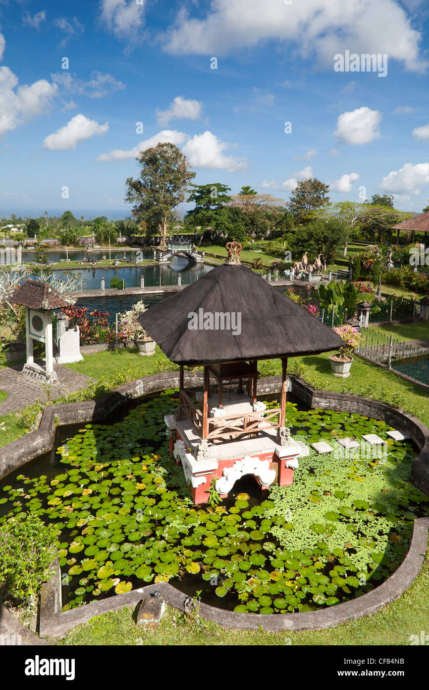 L'Indonésie, l'Asie, l'île de Bali, Tirta Gangga, Palais de l'eau, jardin, eau, tropical, exotique, traditionnelle, vert, pavilion Banque D'Images