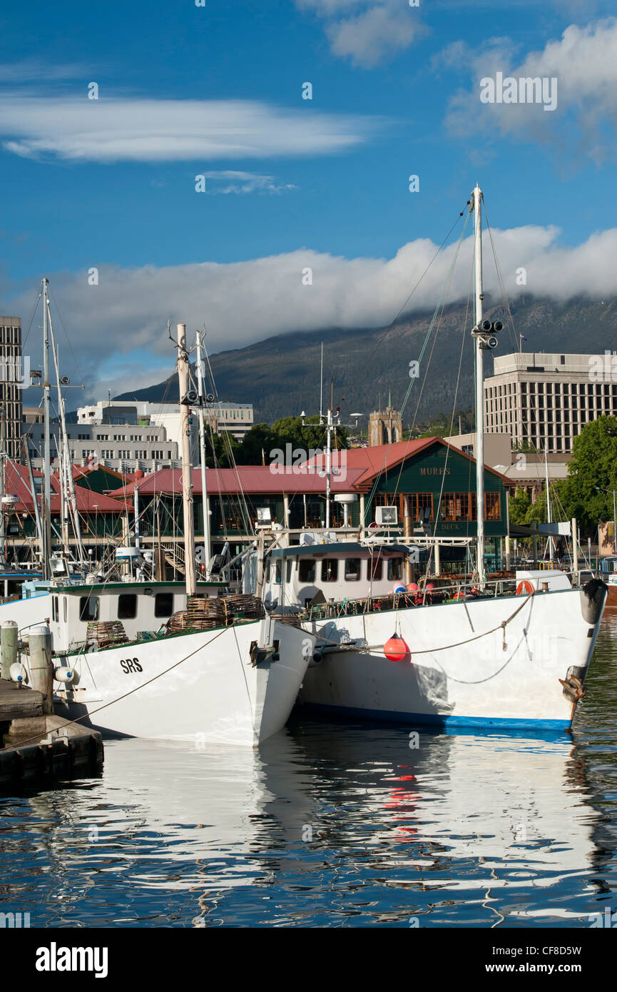 Des bateaux de pêche à quai Franklin, Mount Wellington dans la Distance, Hobart, Tasmanie Banque D'Images