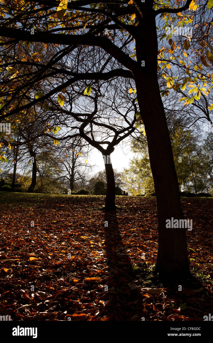 Lister Park, Manningham en automne. Banque D'Images