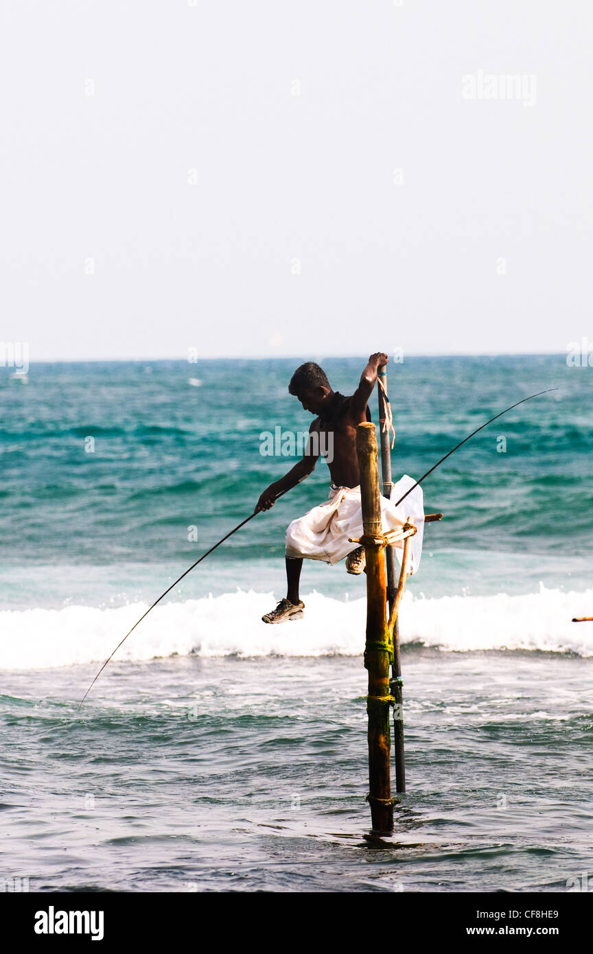 Pêche à échasses dans le sud du Sri Lanka. Banque D'Images