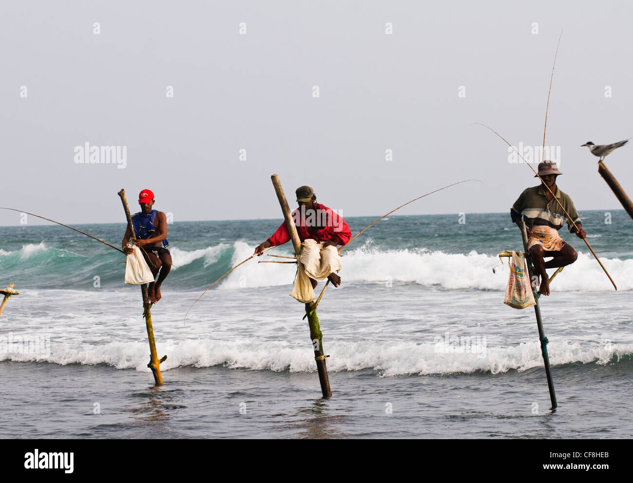 Pêche à échasses dans le sud du Sri Lanka. Banque D'Images