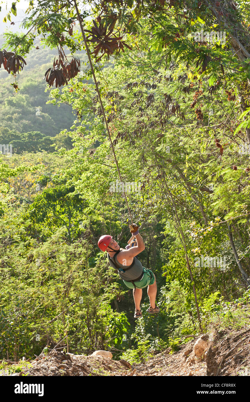 Zip line, forêt tropicale, Bahoruco, Barahona, République dominicaine, Caraïbes, forêt, de la corde, l'aventure Banque D'Images